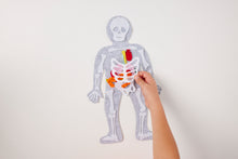 Load image into Gallery viewer, PRE-ORDER! Body Builder Felt Anatomy Kit