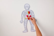 Load image into Gallery viewer, PRE-ORDER! Body Builder Felt Anatomy Kit