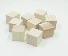 Load image into Gallery viewer, Eco Craft Wood Blocks -  Build, Paint, Create!